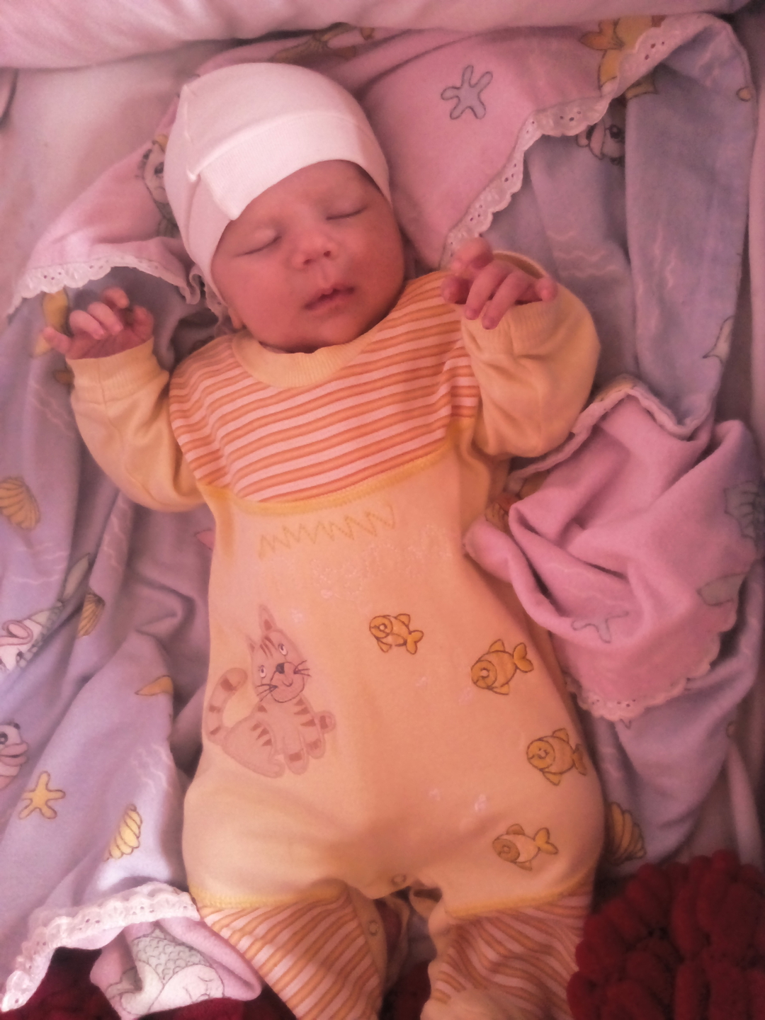 Seher