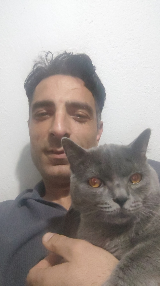 Halil