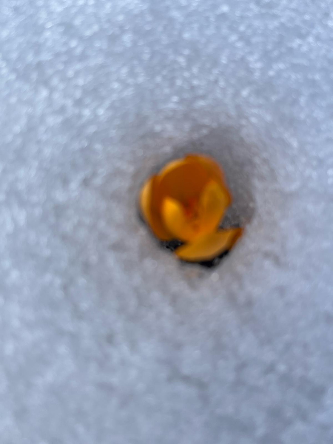 MD