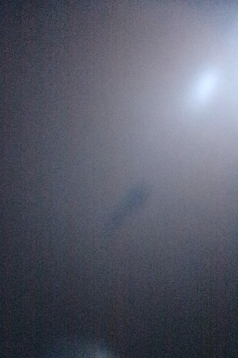 Boran