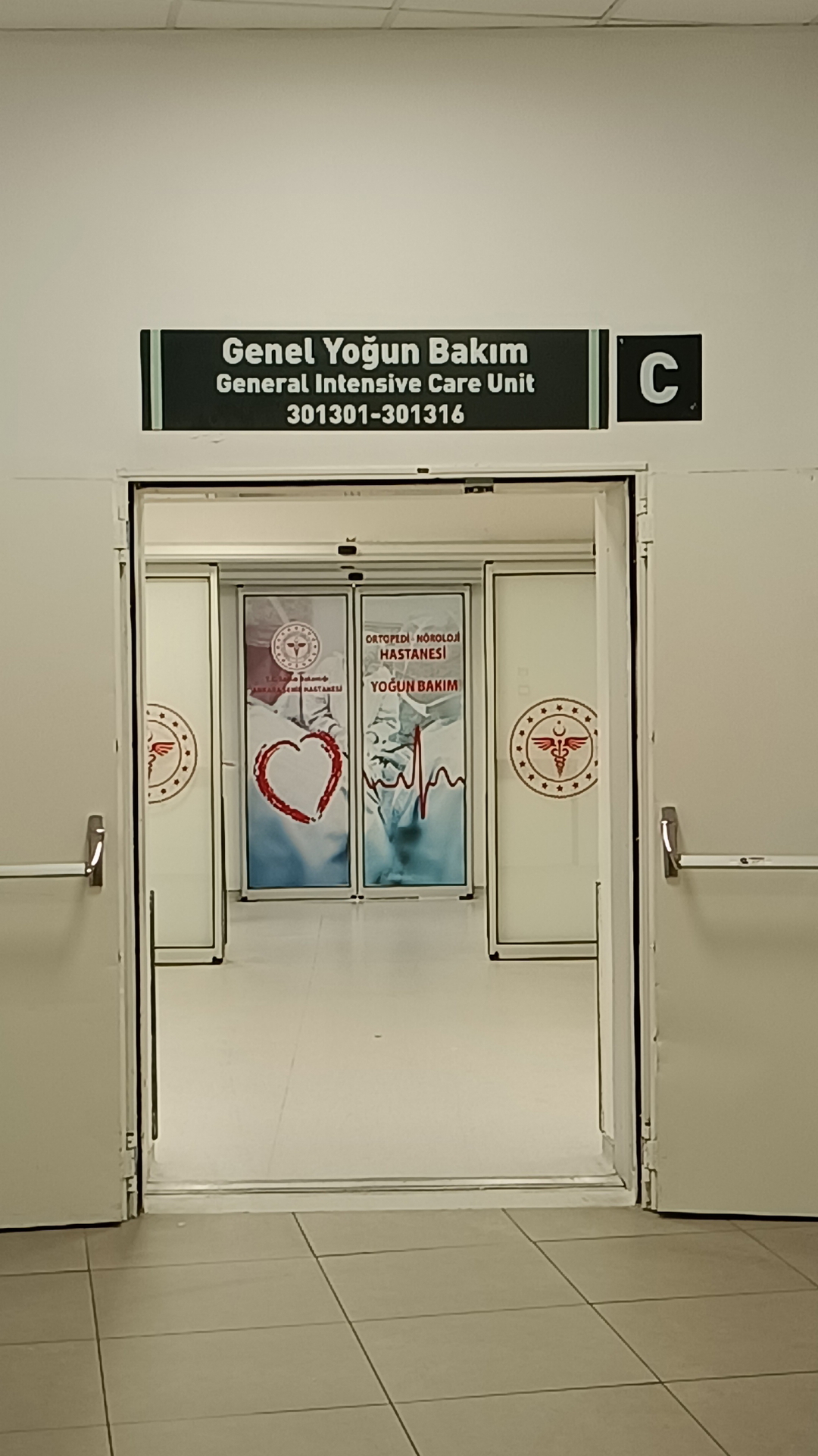 Doğan