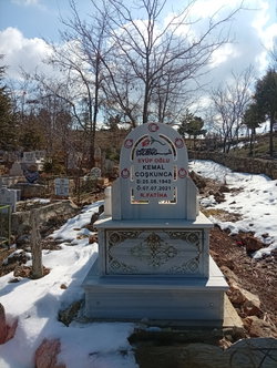 Aydın