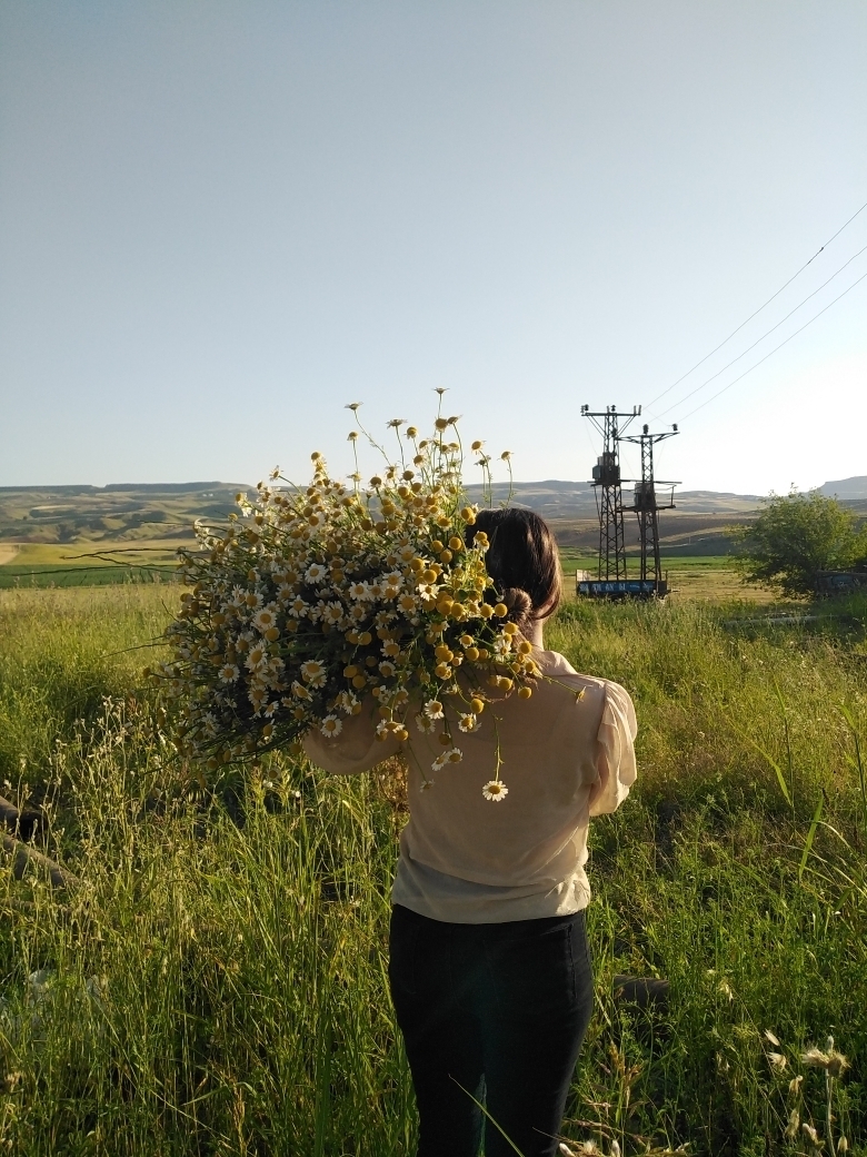 Emine