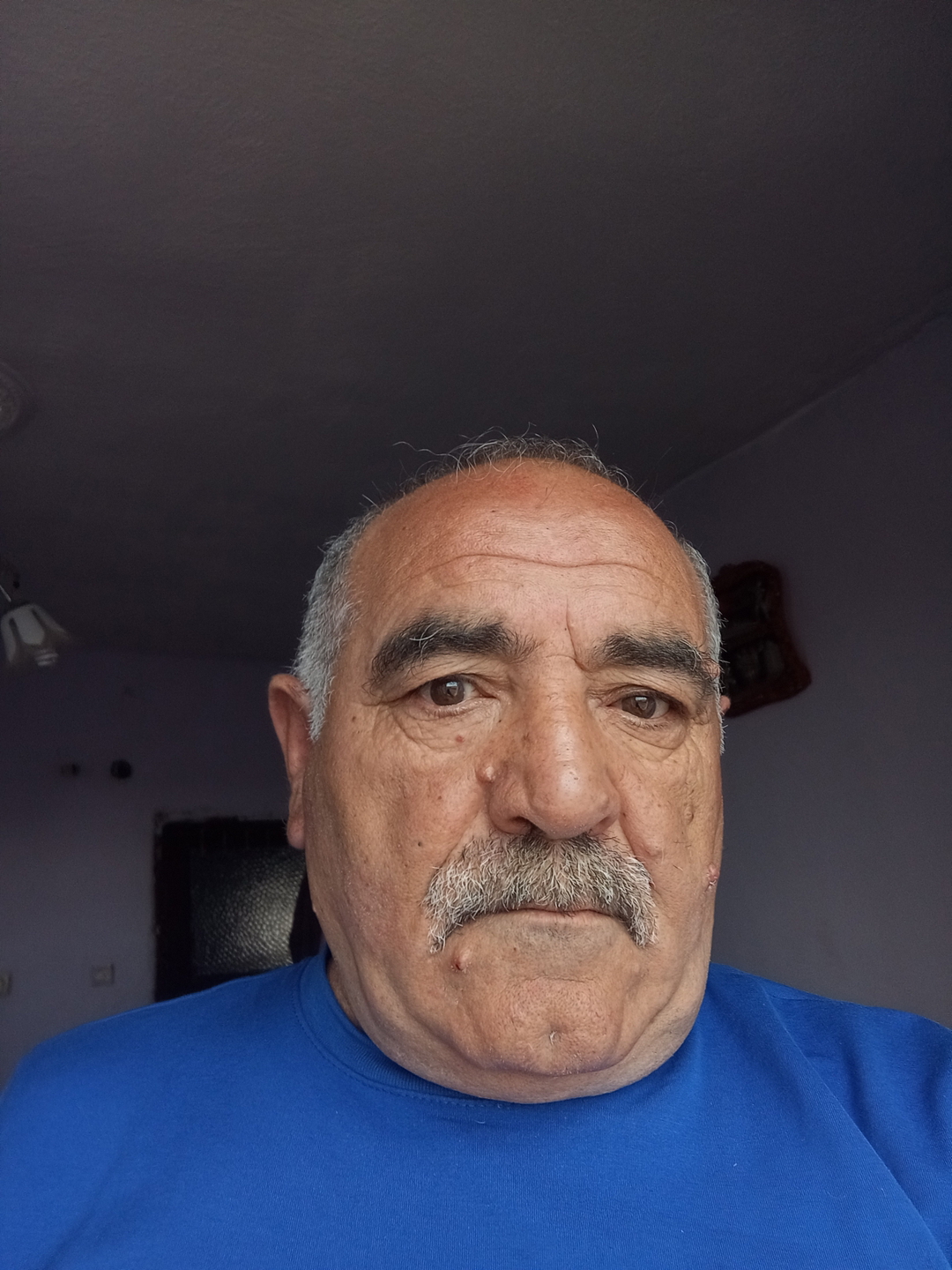 Veysel