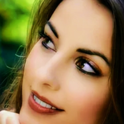 Selin