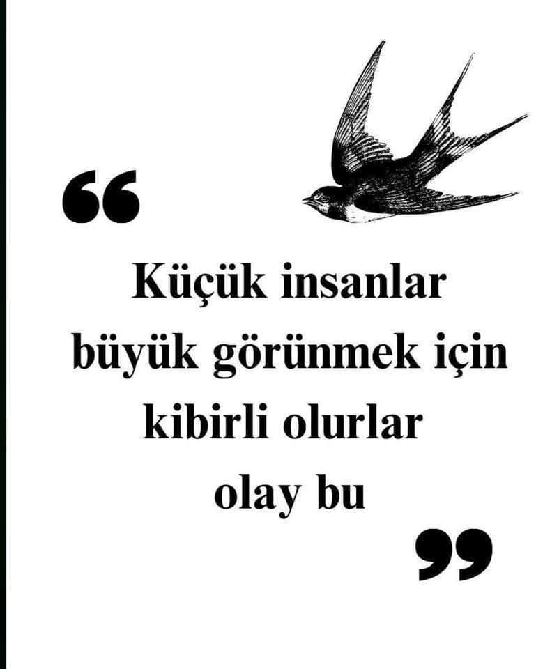 Tülay