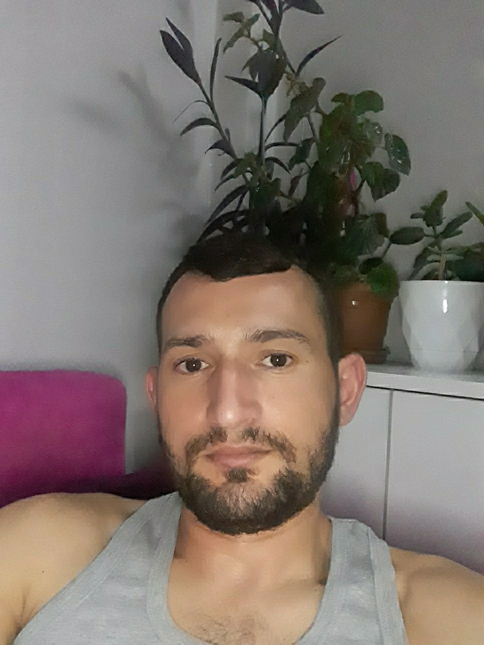 Veysel