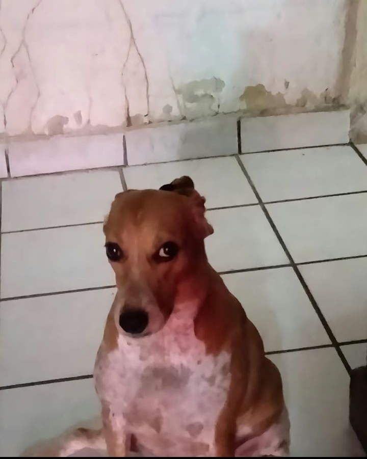 SnoopGG