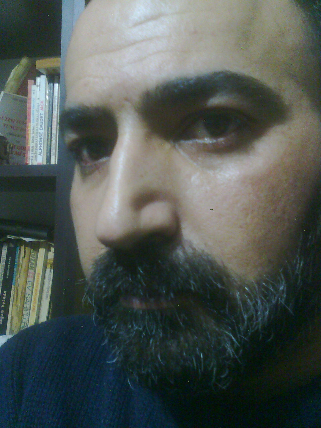 Haydar