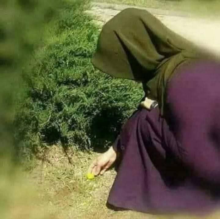 Aysel