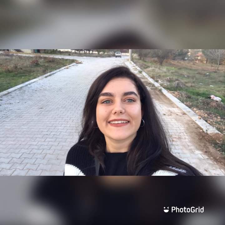 Şule