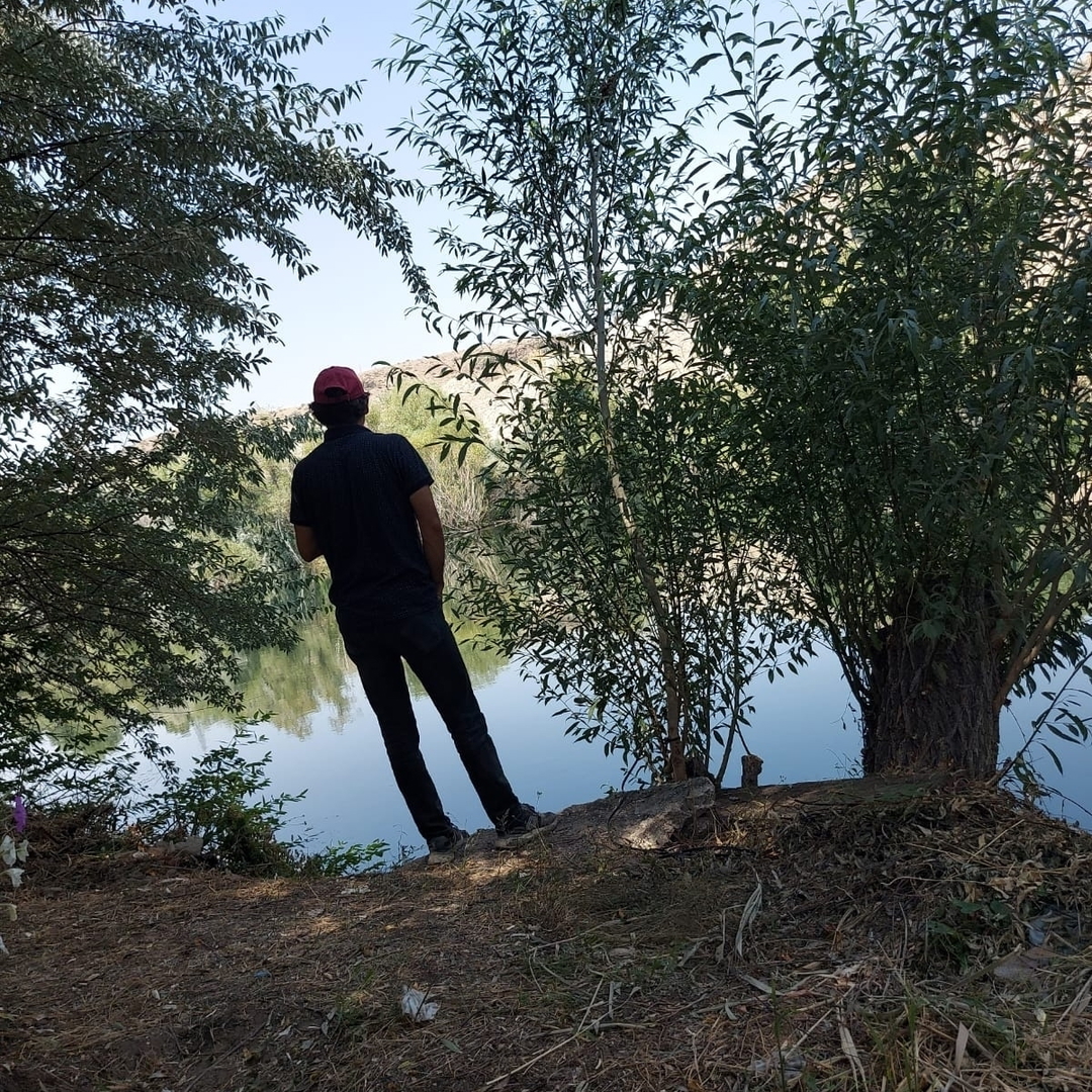 Hayat