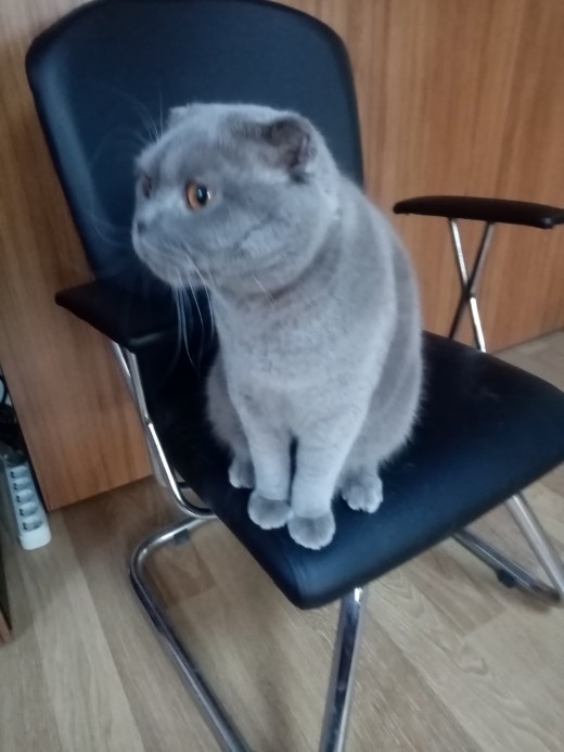 Serkan