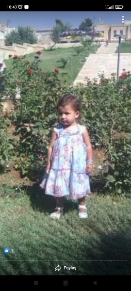 Ayse