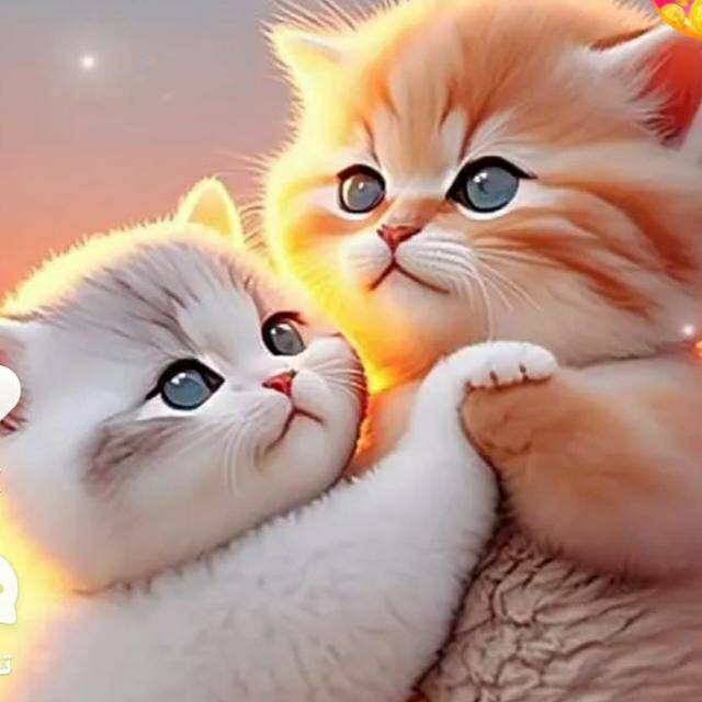 عاي