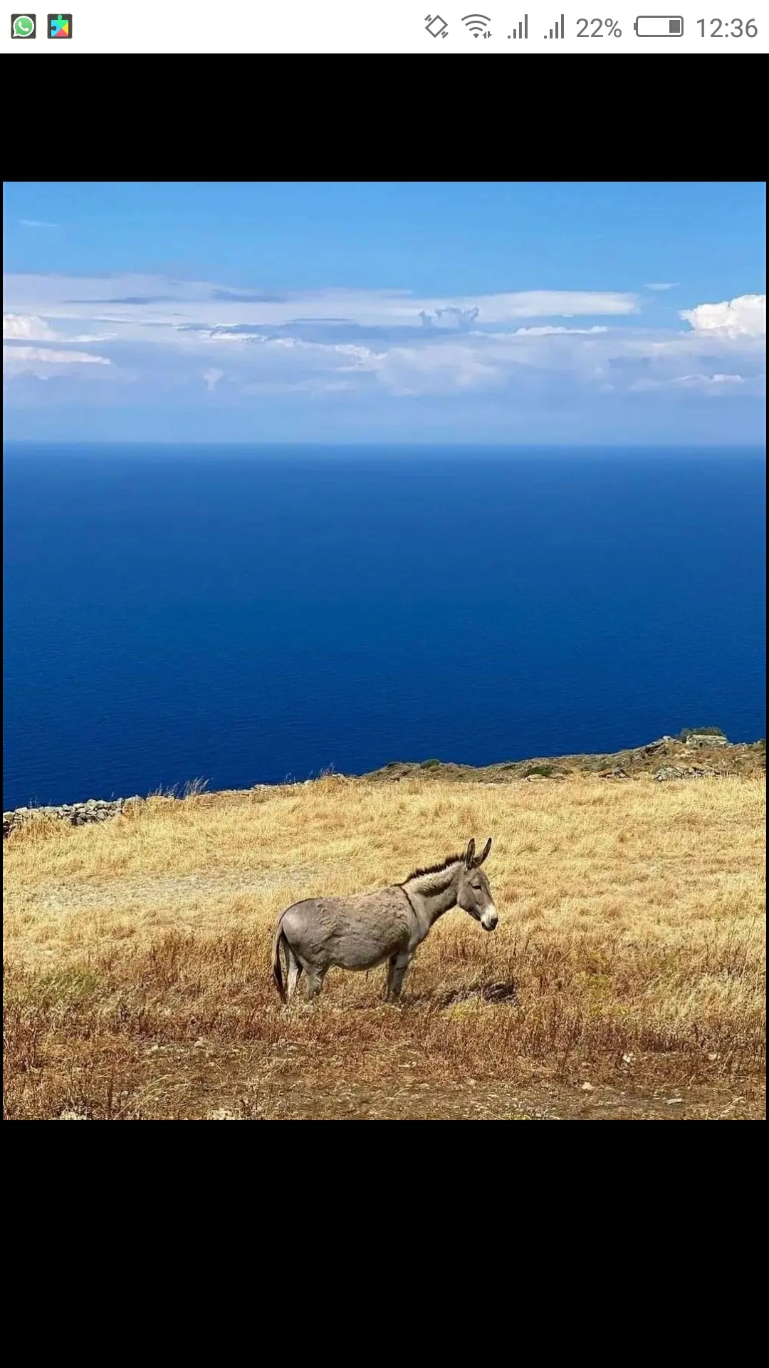 ΧΡΗΣΤΟΣ-ΔΑΥΙΔ