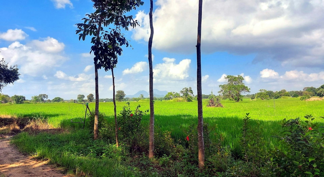 Harshana
