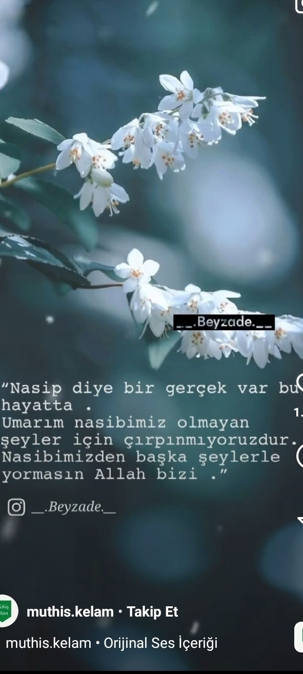 Umay