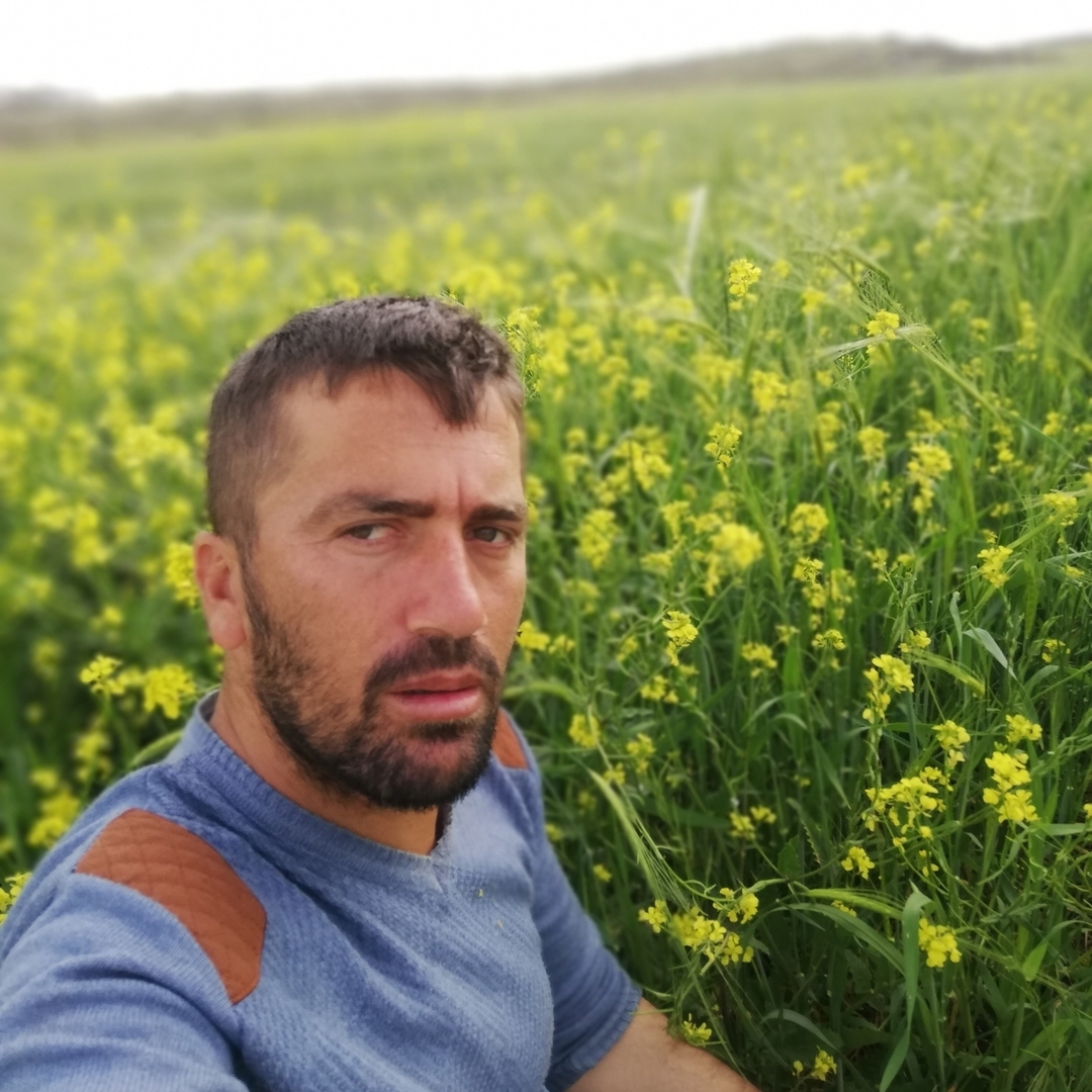 Serhat