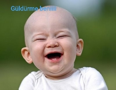 Sedat