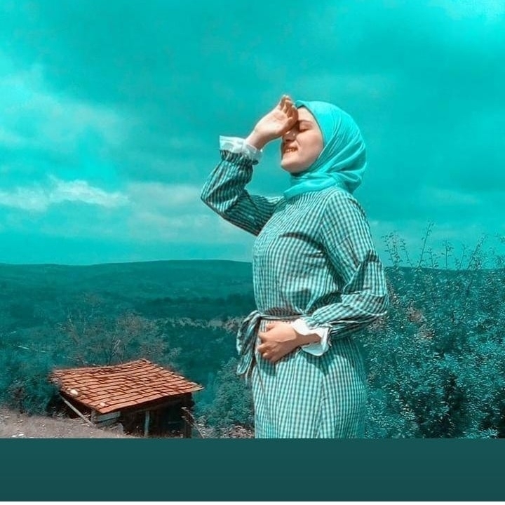 Sedef