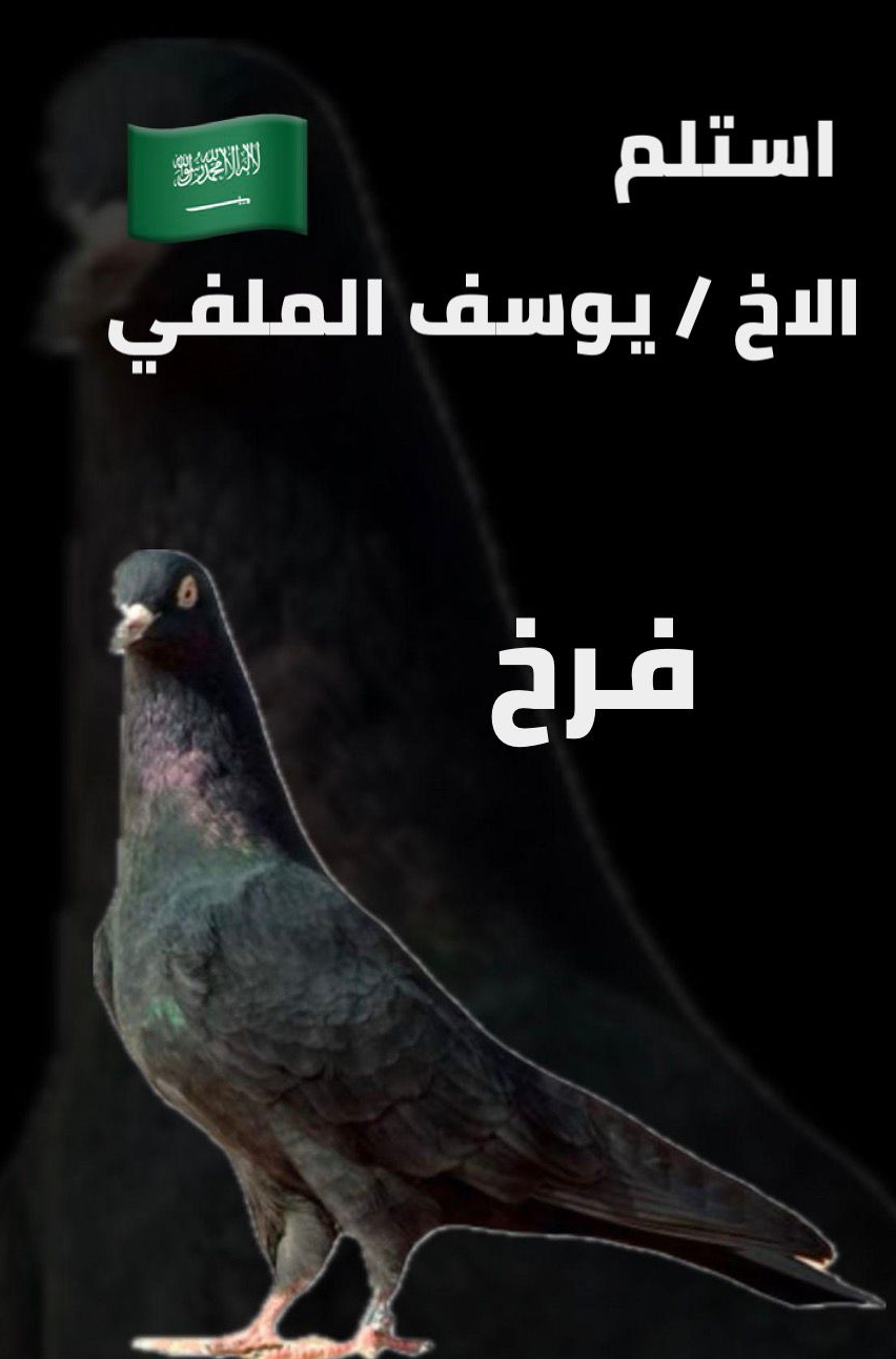 ساهر