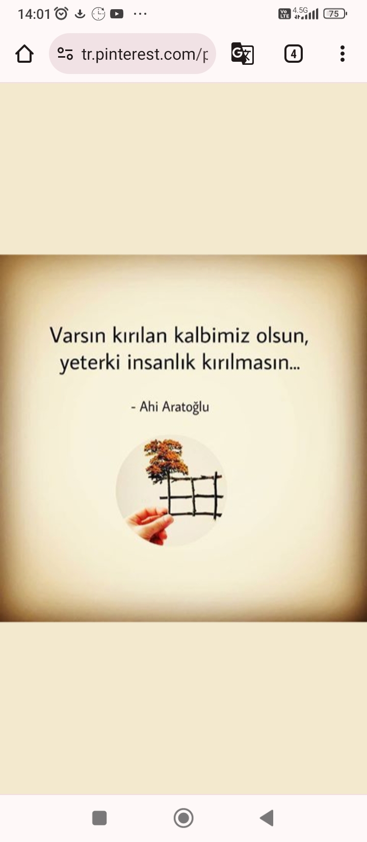 kiral65