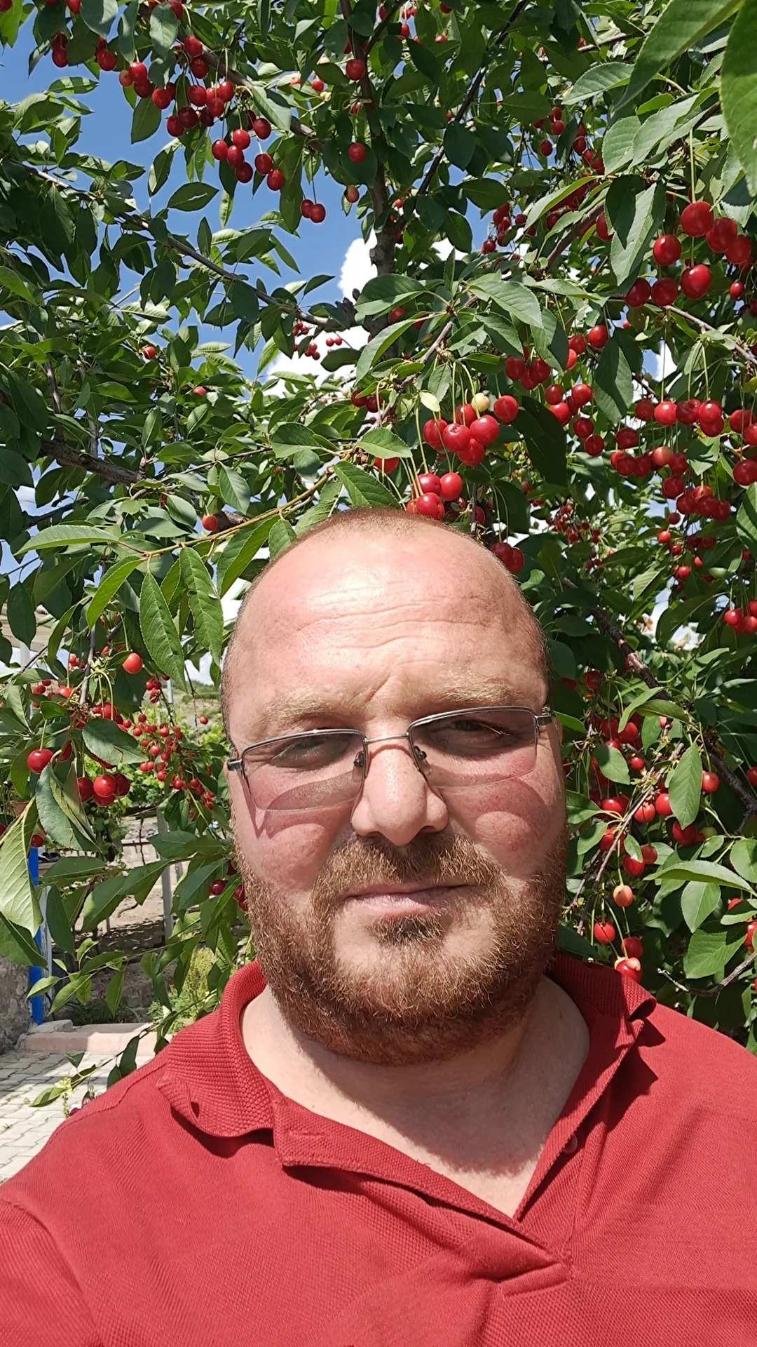 Mustafa