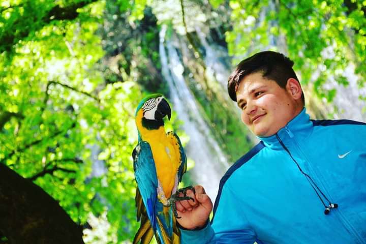 Ali