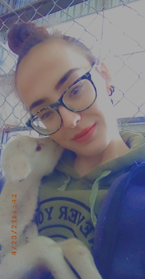Sinem