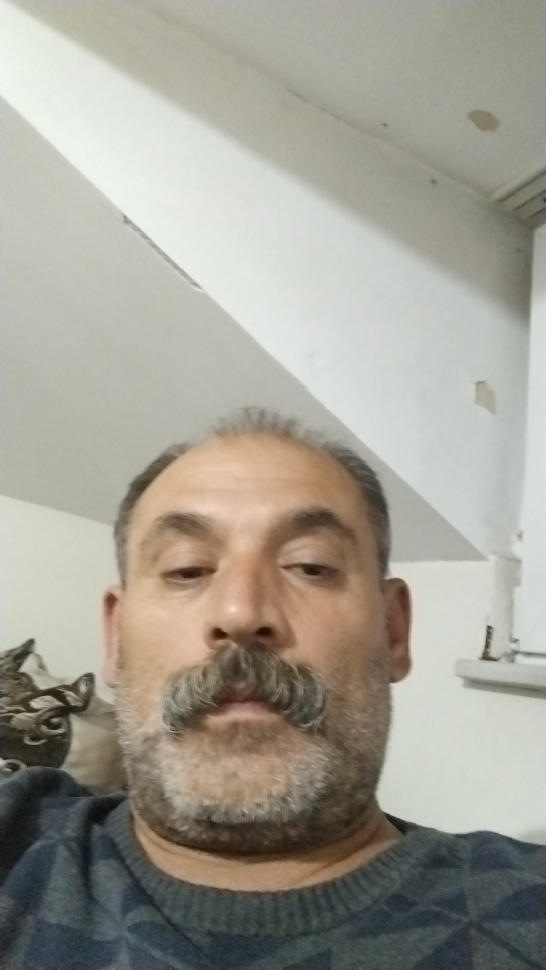Şahin