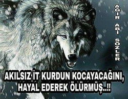 Tolga
