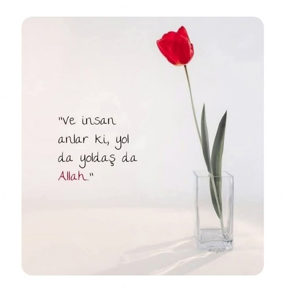 Songül