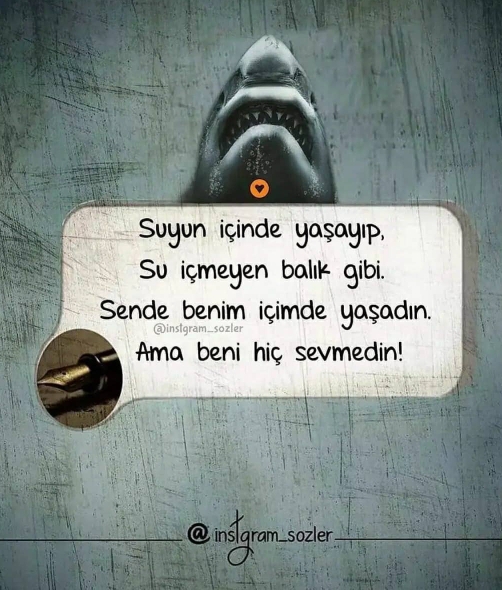 Zeynoo