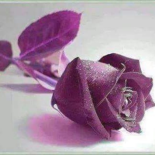 Abdullah