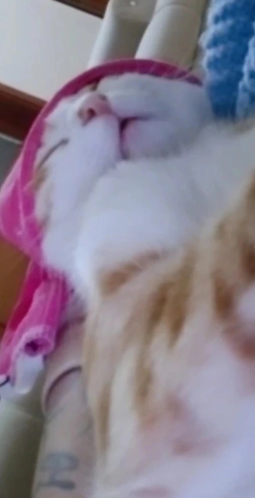 Minik