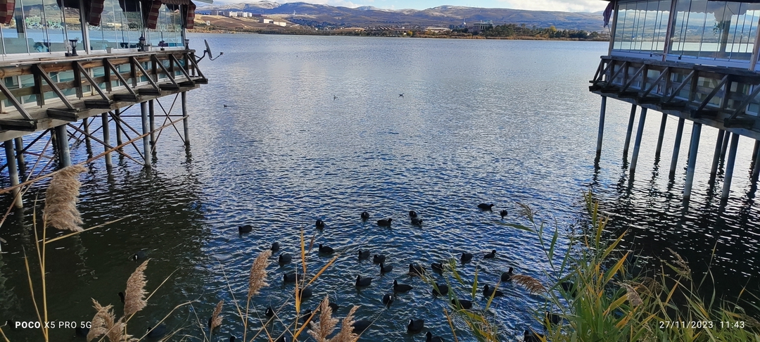 Sevgi