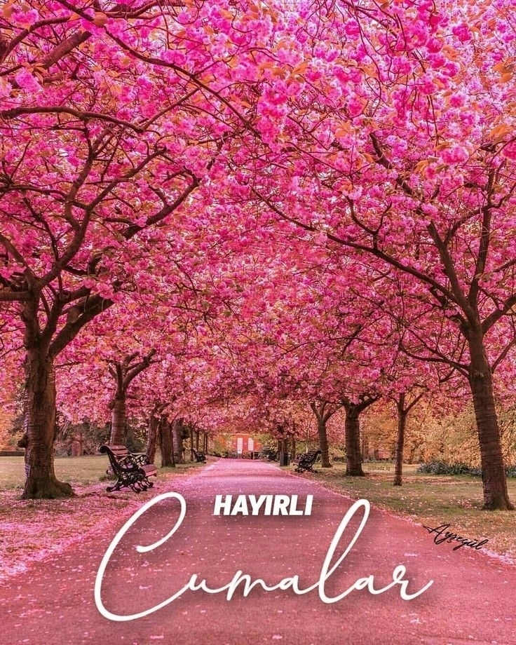 Hatice