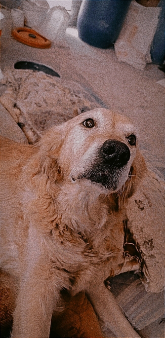Zehra