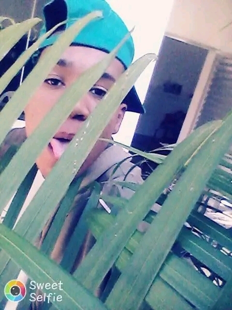 Lidiane