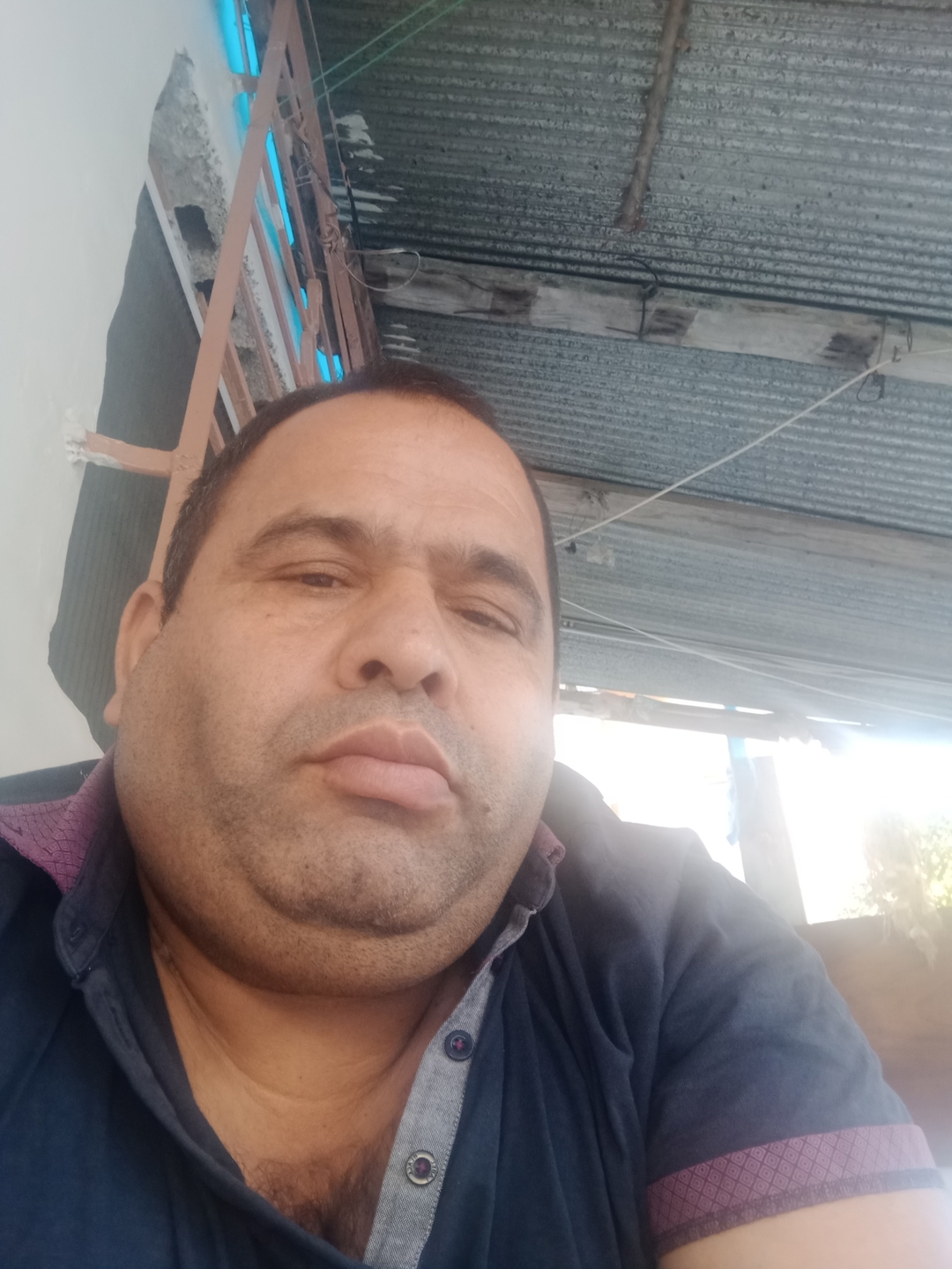 Orhan