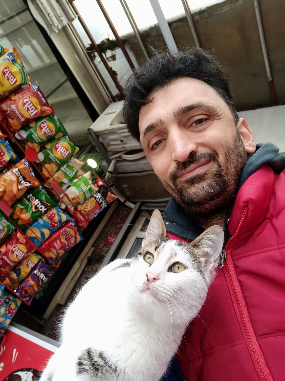 İlhan