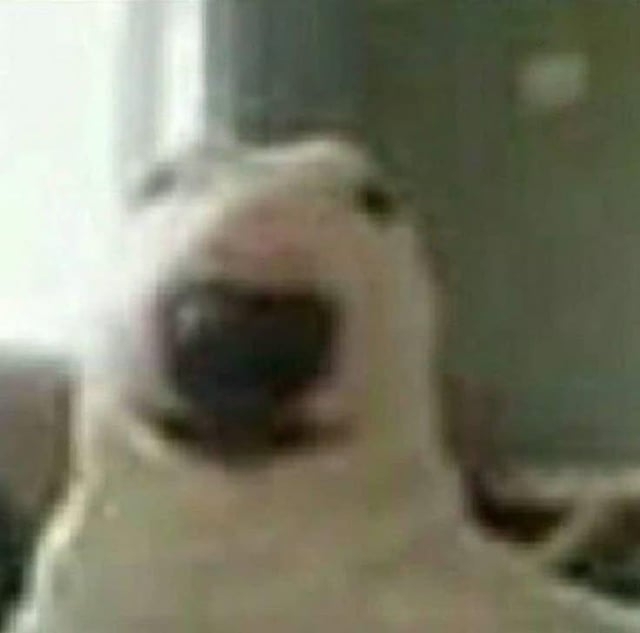 Marcio