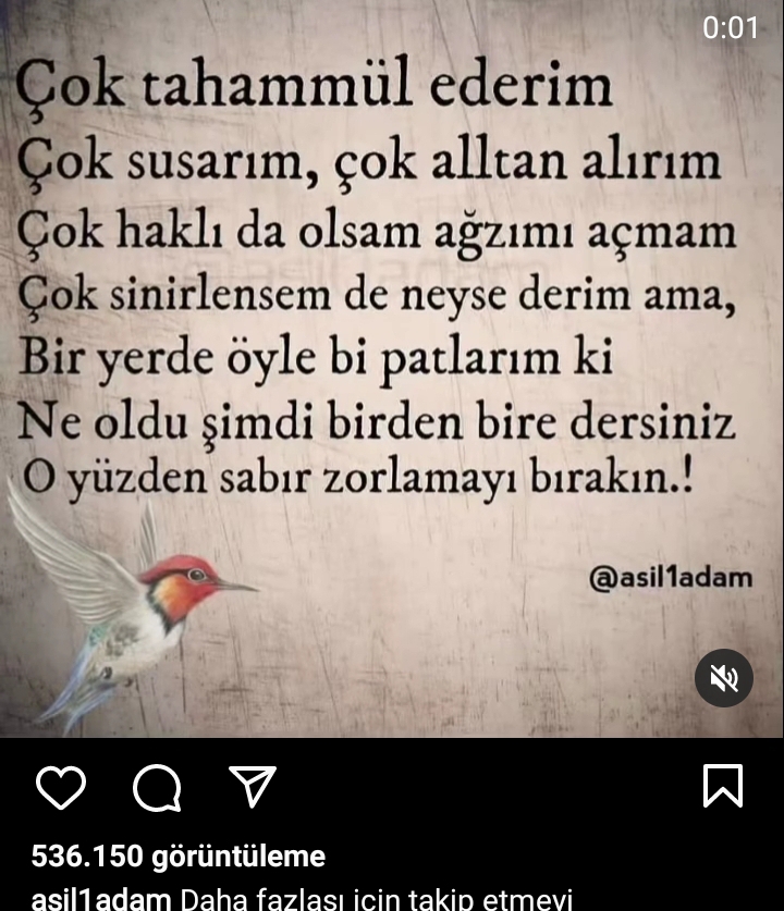 Ayşegül