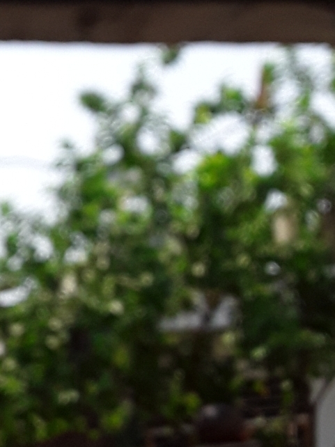 Vansh