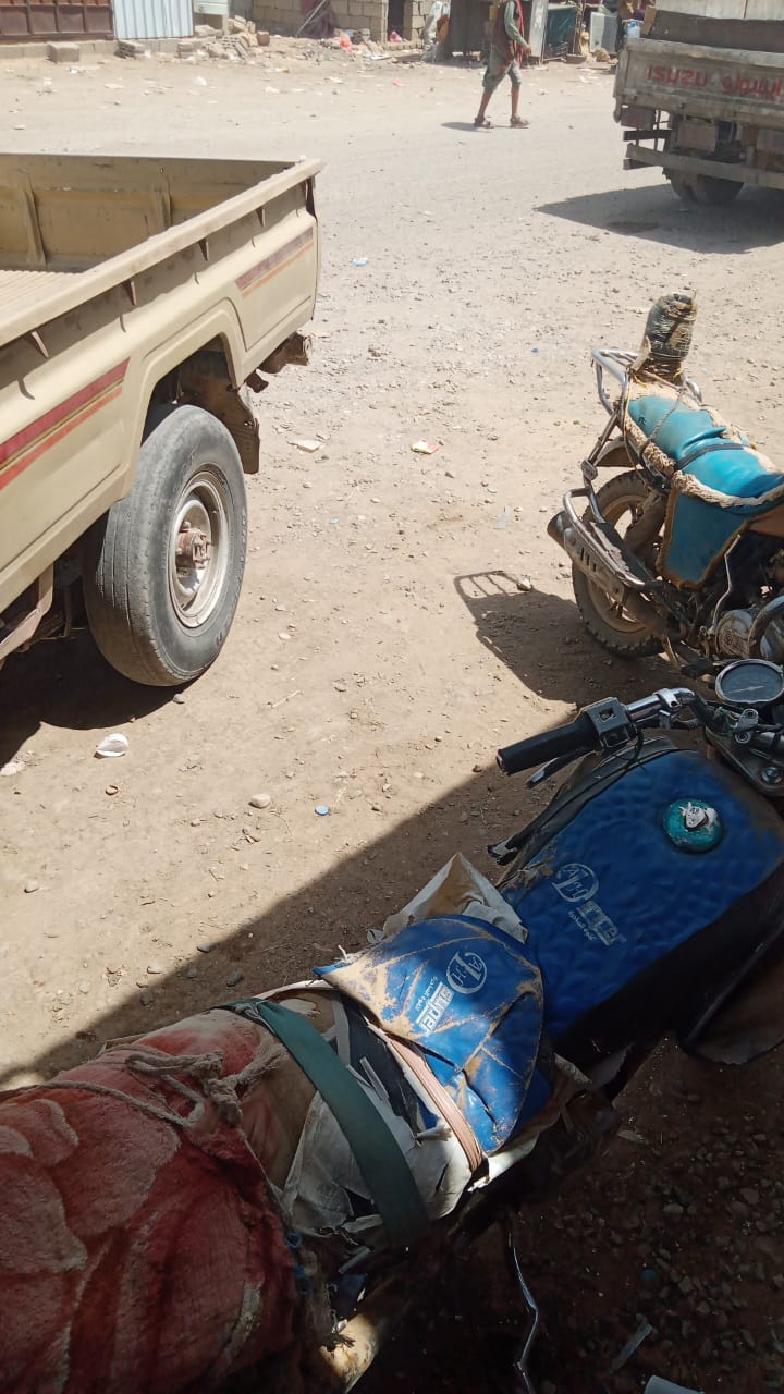 الباشق