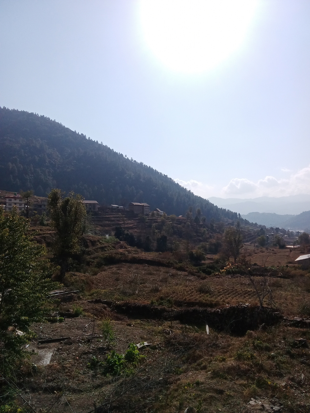 Sajana