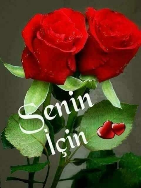 Degmezmiş