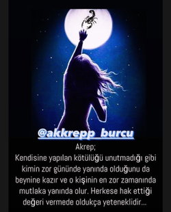 Asel