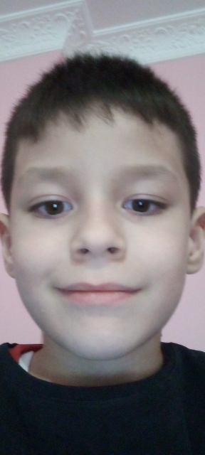 Çınar